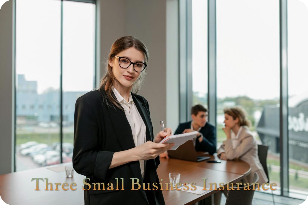 Three Small Business Insurance